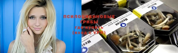 трава Заволжье
